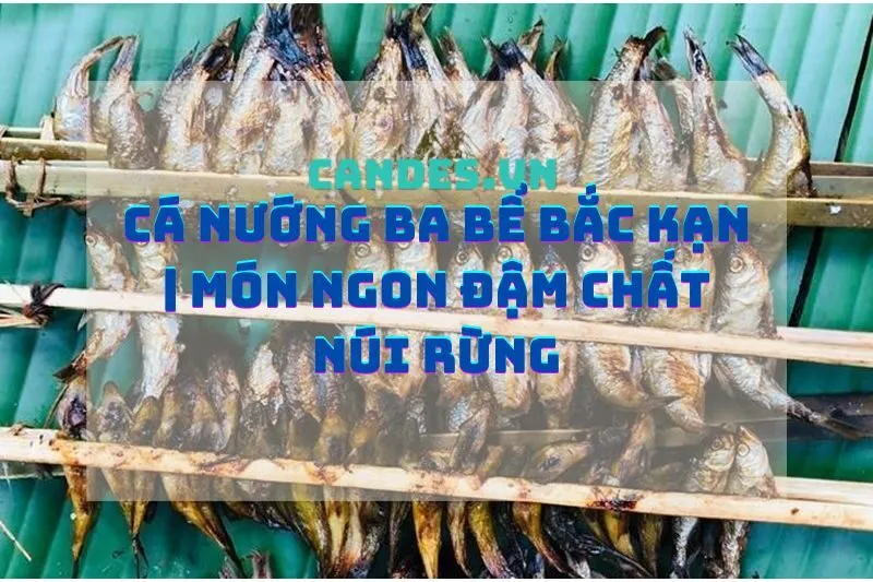 Cá Nướng Ba Bể Bắc Kạn | Món Ngon Đậm Chất Núi Rừng