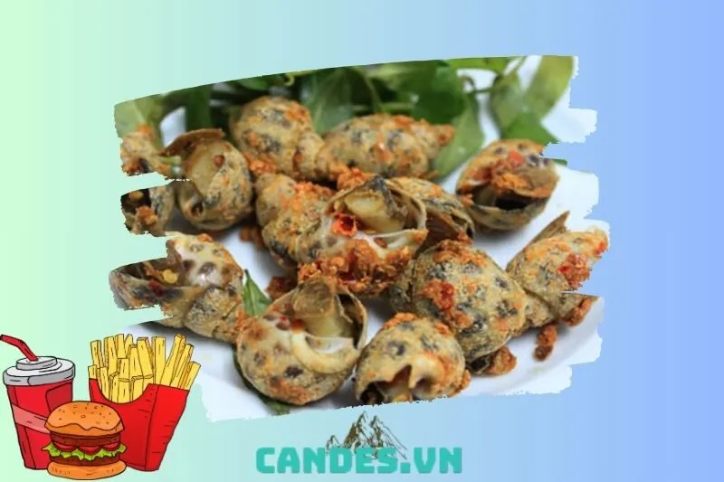 Quán Cay – Ốc Cay Ngao Hấp