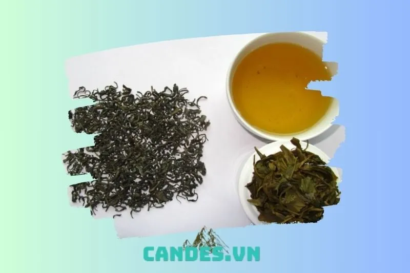 Tại sao chè Shan tuyết Bắc Kạn được sao đón?
