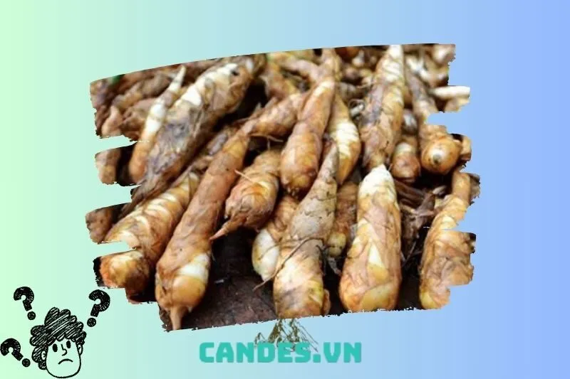 Tìm hiểu nguồn gốc tên gọi Miến dong Na Rì Bắc Kạn