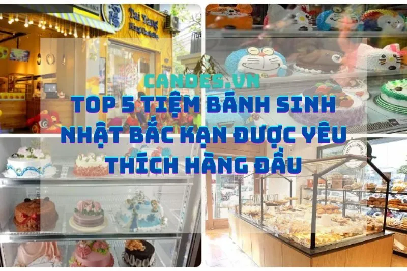 Top 5 tiệm bánh sinh nhật Bắc Kạn được yêu thích hàng đầu