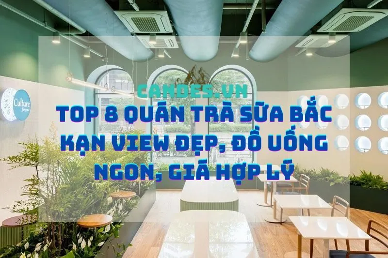Top 8 Quán Trà Sữa Bắc Kạn View Đẹp, Đồ Uống Ngon, Giá Hợp Lý