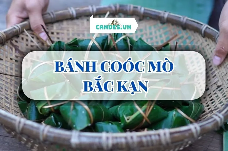 BÁNH COÓC MÒ BẮC KẠN