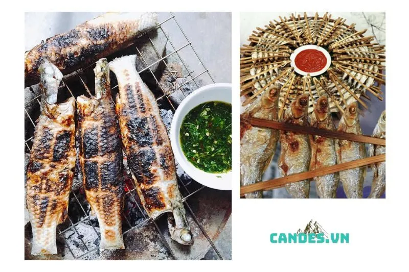 Cá Nướng Pác Ngòi Bắc Kạn - Đặc Sản Không Thể Bỏ Lỡ