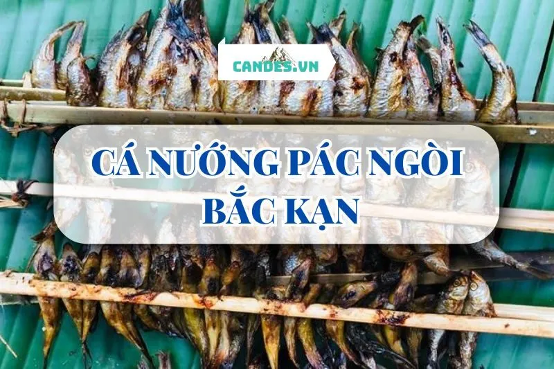 CÁ NƯỚNG PÁC NGÒI BẮC KẠN