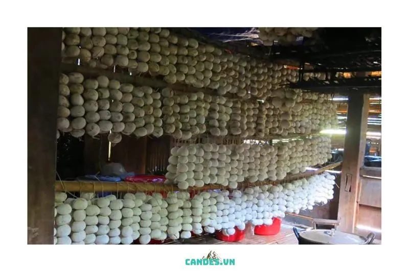 Các Thành Phần Chính Trong Rượu Men Lá Bắc Kạn