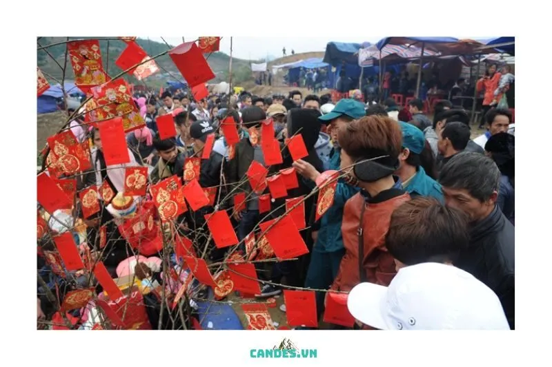 Cách Tham Gia Lễ Hội Mù Là
