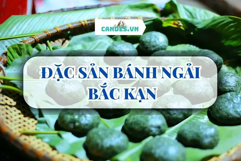 ĐẶC SẢN BÁNH NGẢI BẮC KẠN