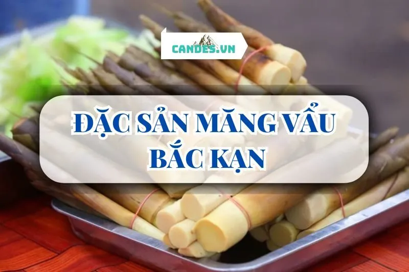 ĐẶC SẢN MĂNG VẨU BẮC KẠN