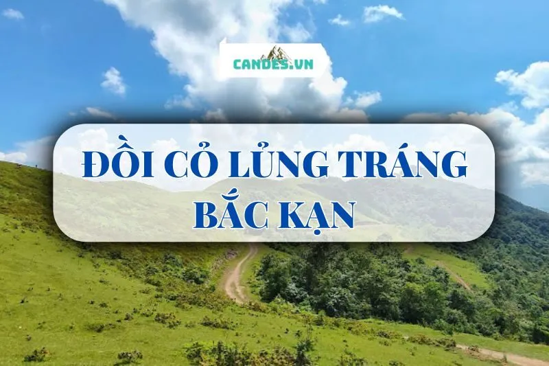 ĐỒI CỎ LỦNG TRÁNG BẮC KẠN