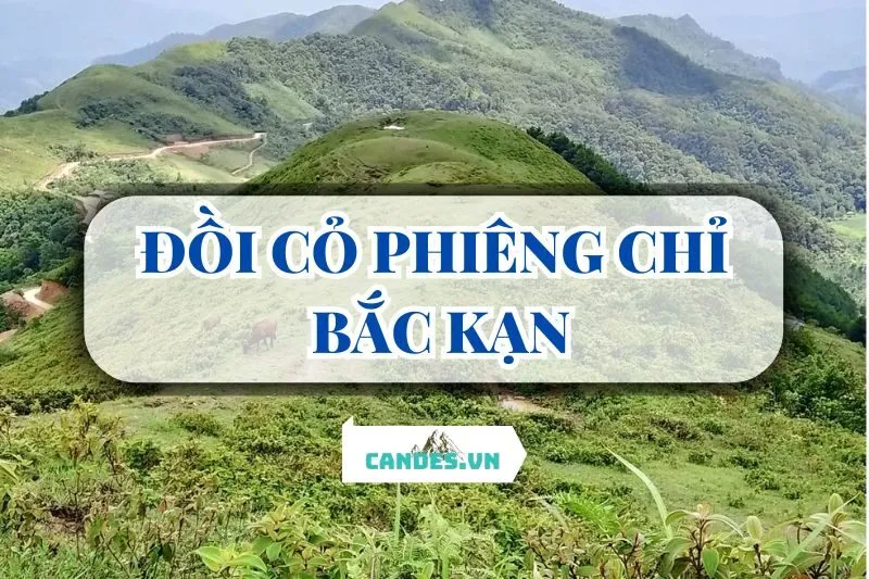 ĐỒI CỎ PHIÊNG CHỈ BẮC KẠN