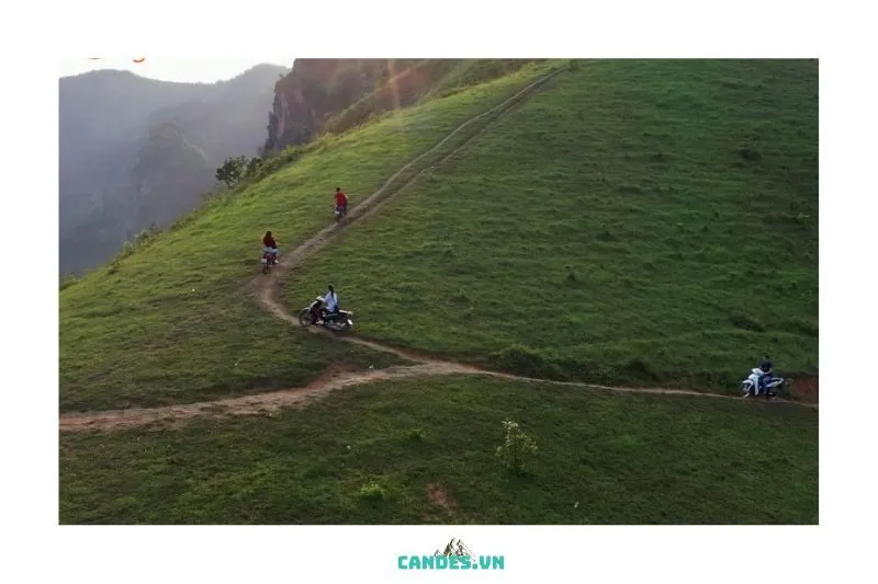Hướng Dẫn Di Chuyển Đến Đồi Cỏ Phiêng Chỉ