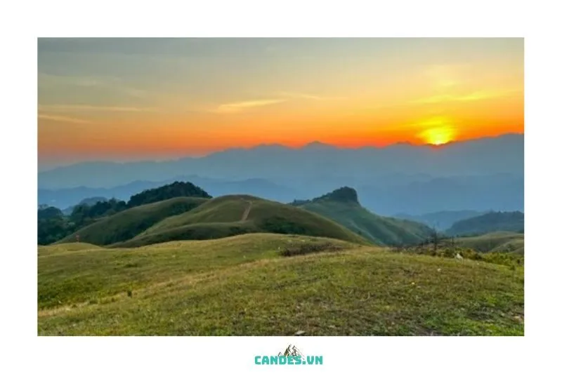 Lịch Sử và Sự Phát Triển Của Cánh Cung Ngân Sơn