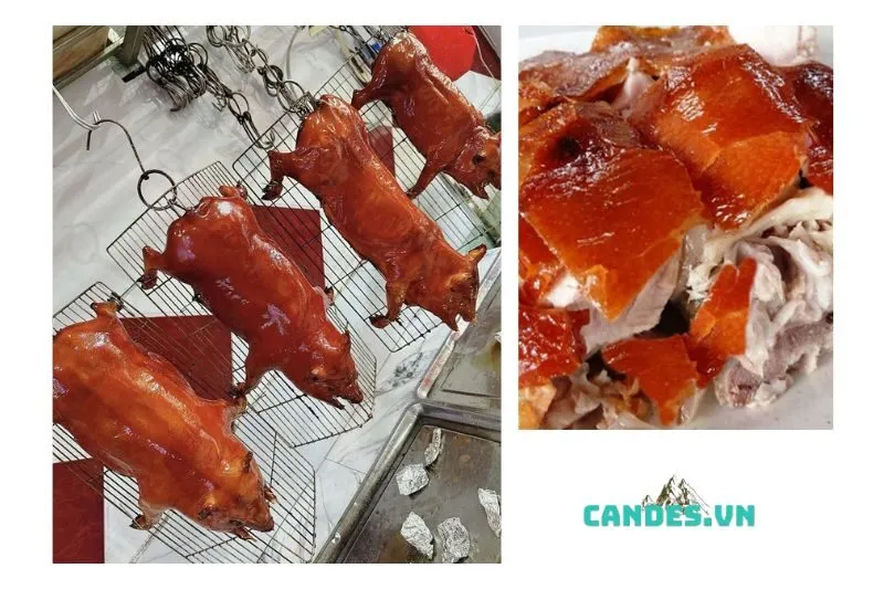 Lợn Sữa Quay Bắc Kạn – Món Ăn Đặc Sản Nổi Tiếng