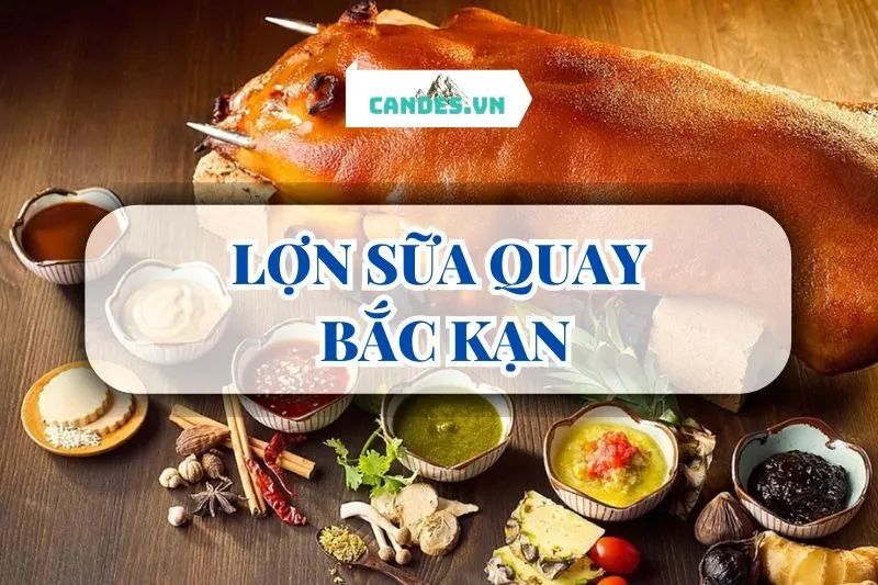 LỢN SỮA QUAY BẮC KẠN