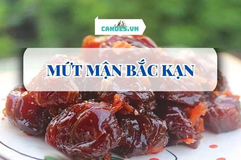 MỨT MẬN BẮC KẠN