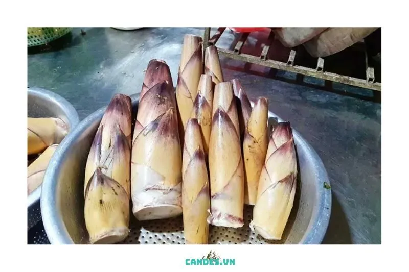 Những đặc sản và món ăn nổi tiếng khi đến Bắc Kạn