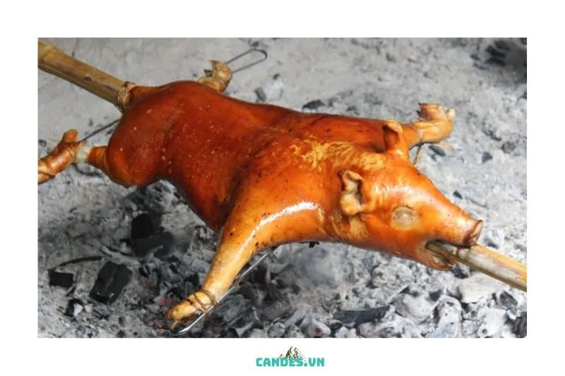 Những Lợi Ích Và Hương Vị Đặc Biệt Của Lợn Sữa Quay
