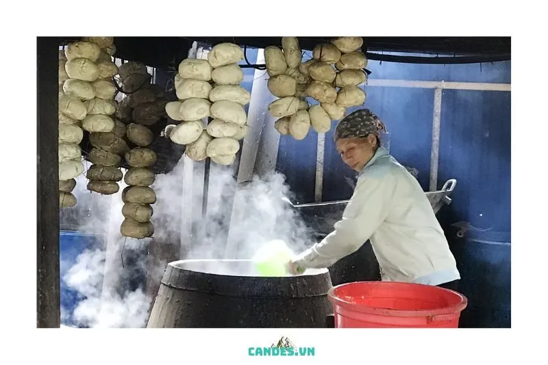 Tác Dụng Của Rượu Men Lá Bắc Kạn