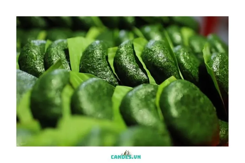 Tác Dụng Và Lợi Ích Của Ngải Cứu Trong Bánh Ngải