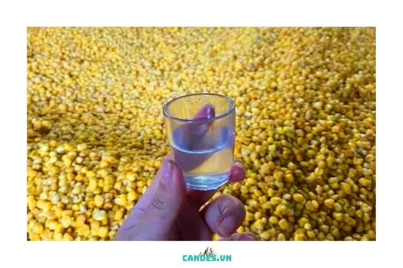 Tìm Hiểu Về Dân Tộc Dao Đỏ và Lối Sống Của Họ