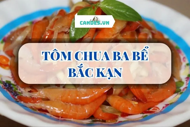 TÔM CHUA BA BỂ BẮC KẠN